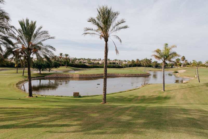 Roda Golf